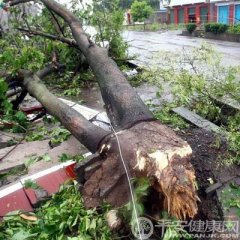 重庆12级龙卷风后政府措施