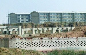 月7日，清水河县财政局、税务局在新区建造的新办公楼已竣工5年，至今无人入住，成为“鸟巢”。