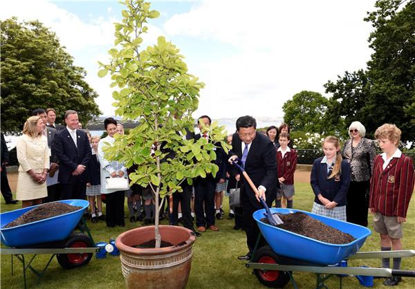 图为2014年11月18日，习近平在澳大利亚塔斯马尼亚州与小学生共同植树。